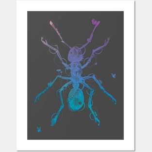 Ant Posters and Art